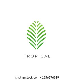 Green Tropical Palm leaf logo vector design template