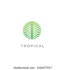Green Tropical palm leaf logo vector design template
