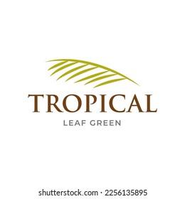 Green Tropical Palm leaf logo vector design template 