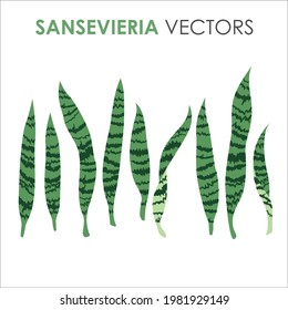 Green tropical palm leaves, jungle leaves, botanical vector illustration, set isolated on white background.