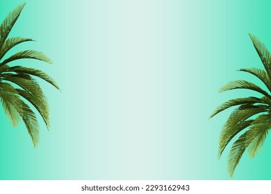Green tropical palm leaves on a green background. A simple beautiful summer concept