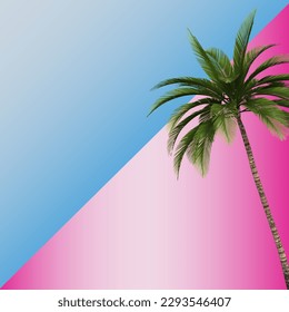 Green tropical palm leaves on a pink and blue background. A simple beautiful summer concept