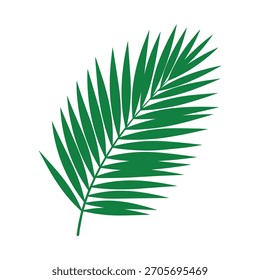 Grüner tropischer Palmenblattzweig. Vektorgrafik