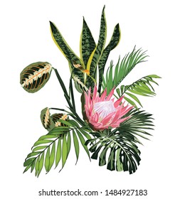 Green tropical palms and pink protea flowers composition. 
