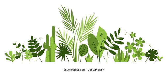 Green tropical plants. Exotic leaves, monstera, palm, succulents, cactus, shefflera. Botanical vector design isolated for cover, background, wall art, invitation, greeting cards