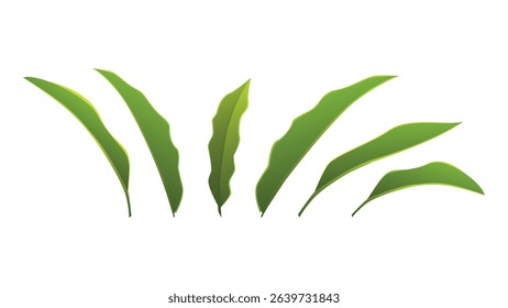 Green Tropical vector,Leaf, Nature Element Vector Illustration