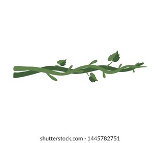 Green Tropical Winding Liana Branches with Leaves, Jungle Plant Decorative Element, Rainforest Flora Vector Illustration