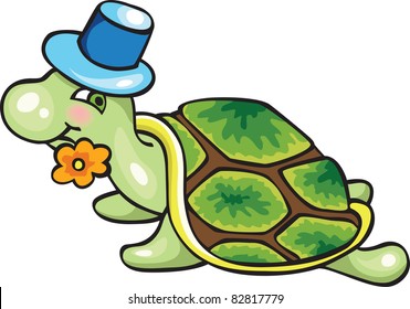 green turtle