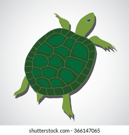 Green turtle, beautiful turtle, art turtle