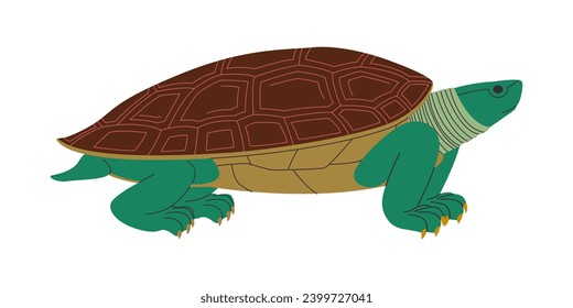 green turtle with brown shell wild nature omnivorous animal and slow walk reptile creature