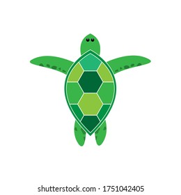 green turtle cartoon vector design