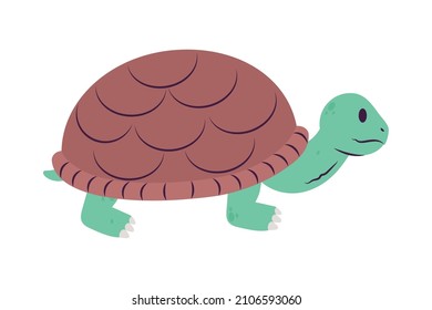 green turtle design over white