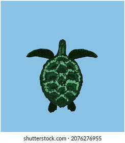 The green turtle. Detailed vector template. Fully editable and hand-drawn