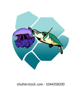 Green turtle eating a jelly fish