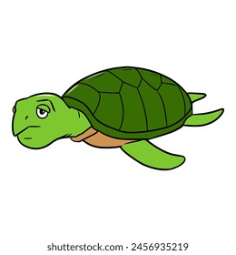 green turtle illustration isolated vector	
