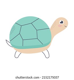 grüne Schildkröte auf Weiß