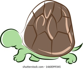 Green turtle, illustration, vector on white background.