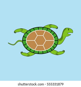 Green turtle isolated on a blue background. Vector illustration.
