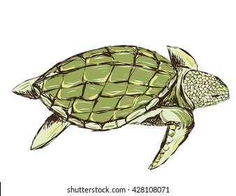 green turtle isolated on a white background. rough stylized. design for T-shirts. grunge style