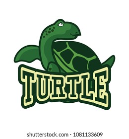 green turtle logo,  vector illustration
