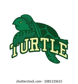 green turtle logo,  vector illustration
