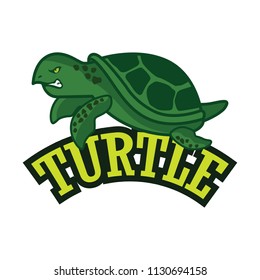 green turtle logo,  vector illustration