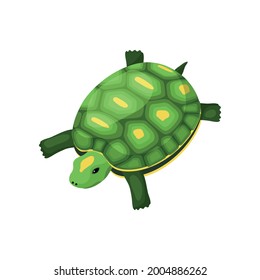 Green turtle on white background isometric vector illustration