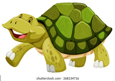 Green turtle on white background