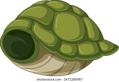 Green turtle shell with detailed texture