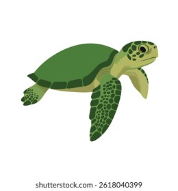 Green turtle vector design illustration