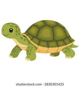 Green Turtle Walking With Brown Shell Pet Reptile Animal Leg Head Tail Slow Creature Terrarium Companion