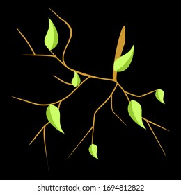 Green twig and leaf design