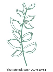 Green twig with leaves drawn doodle illustration. Leafy botanical branch, decoration. Greenery, vector illustration.