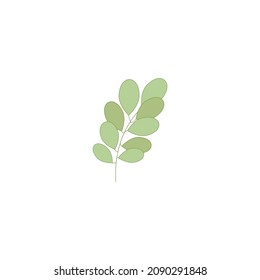 Green twig with leaves. Element for design, logo, banner. Vector.