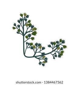 Green Twig Natural Design Element Can Be Used for Wedding Invitation, Save the Date, Greeting Card, Poster, Quote Vector Illustration
