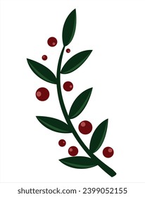 green twig with red berries on a white background. New Year