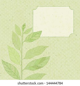 green twig, retro frame, vector illustration, eps 10