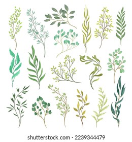 Green Twigs and Branches with Leafy Stem Big Vector Set