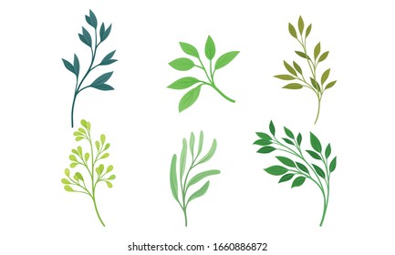 Green Twigs and Branches with Leaves Vector Set