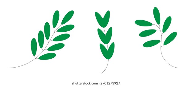 galhos verdes sobre um fundo branco, conjunto, ilustração,