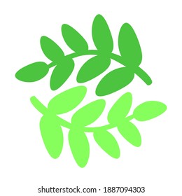 Green twigs on a white background.Pattern for decor, wallpaper, background, packaging paper.
