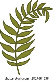 green twisted branch from fern with dark line