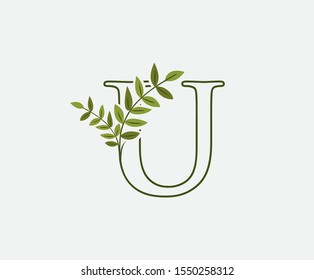 Green U Letter Logo Icon. Nature Green Leaves U Letter Design. Eco Concept ,  Created with Green Leaves and  Branches.  