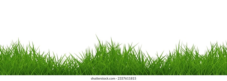 Green uneven grass wide repeat border isolated. Vector