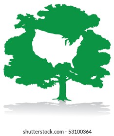 Árbol de EEUU