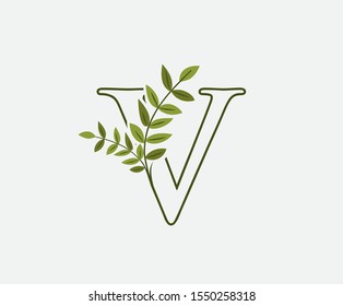 Green V Letter Logo Icon. Nature Green Leaves V Letter Design. Eco Concept ,  Created with Green Leaves and  Branches.  