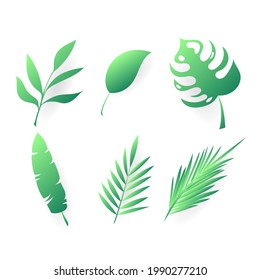 Grüne verschiedene Blätterformen einzeln auf weißem Hintergrund , Vektorgrafik EPS10