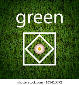 Green vector background of grass with daisy and white rectangle