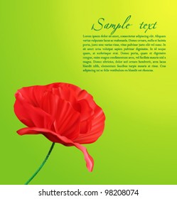 Green vector background with poppy flower