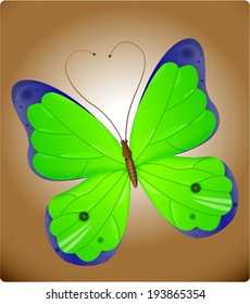 Green Vector Butterfly